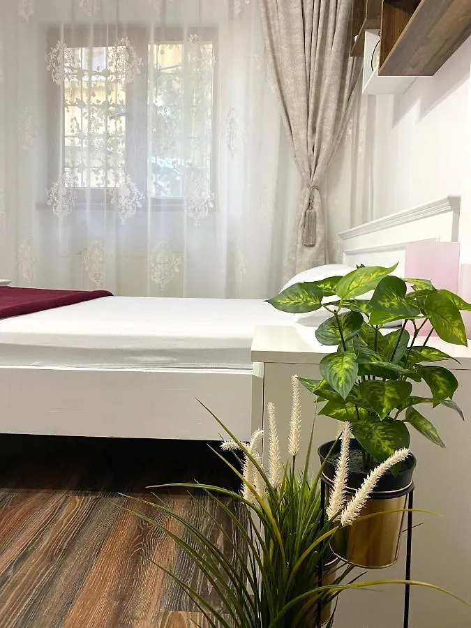 Charming Studio In Center Of Bucharest,Ground Floor, Near Old City 布加勒斯特