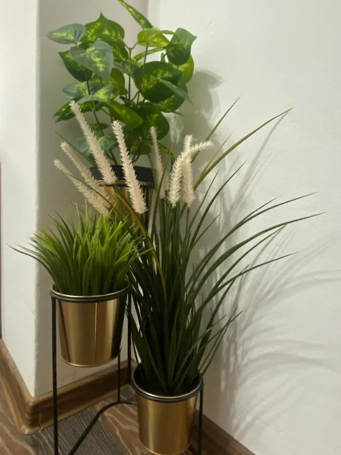 Charming Studio In Center Of Bucharest,Ground Floor, Near Old City Rumunsko